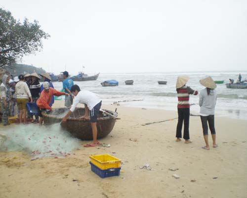 Bạc Liêu Chấn chỉnh hoạt động khai thác gần bờ